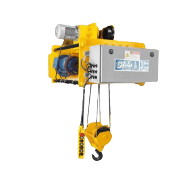 Wire Rope Electric Hoist Manufacturer From Delhi